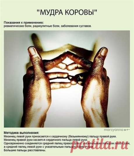 Познавательный сайт ,,1000 мелочей&quot;