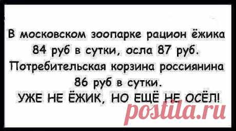 Приколюхи. Поделись с друзьями! / Писец - приколы интернета