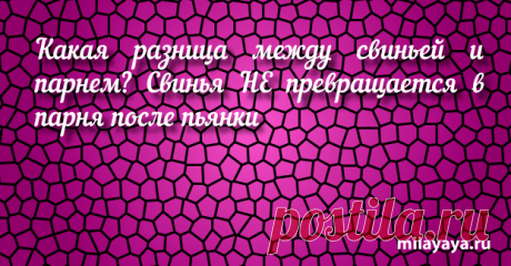 Красивый статус со смыслом в картинках из жизни для женщин (картинка 259) . Милая Я