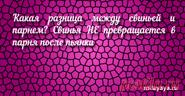 Красивый статус со смыслом в картинках из жизни для женщин (картинка 259) . Милая Я