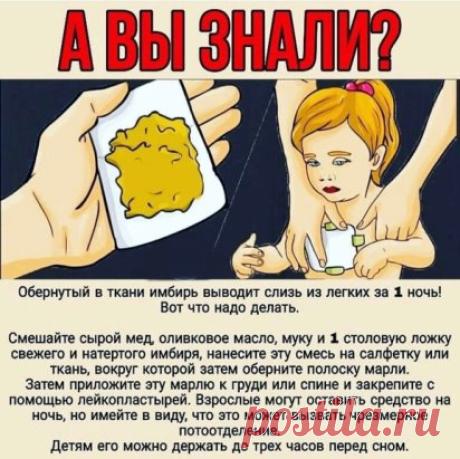Имбирная лепешка от кашля