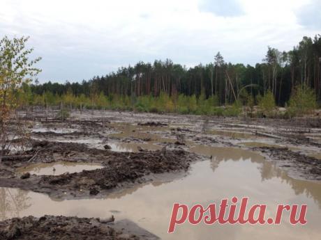 Несколько районов Центральной и Западной Украины вышли из подчинения Киева