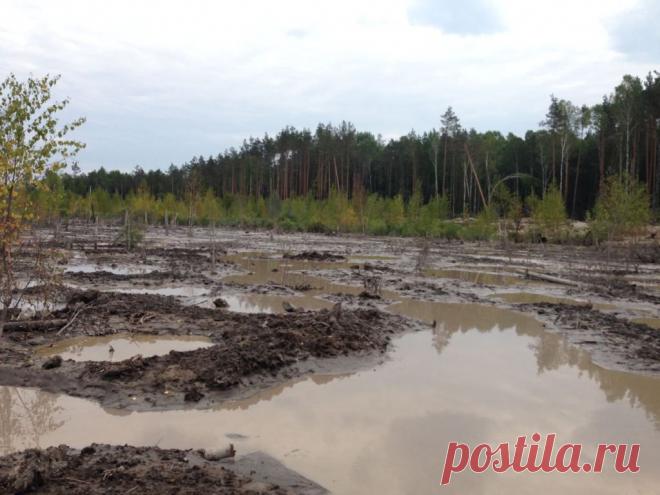Несколько районов Центральной и Западной Украины вышли из подчинения Киева