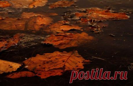 ФОТОМАСТЕРСКАЯ ПРИРОДЫ
Лилия Гиндулина