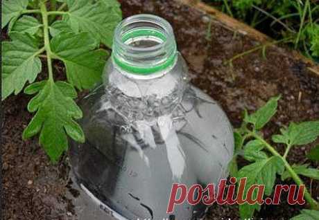 ПРОСТЫЕ СПОСОБЫ ПОЛИВОВ ИЗ ПЛАСТИКОВЫХ БУТЫЛОК