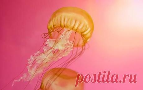 ОБОИ ДЛЯ РАБОЧЕГО СТОЛА