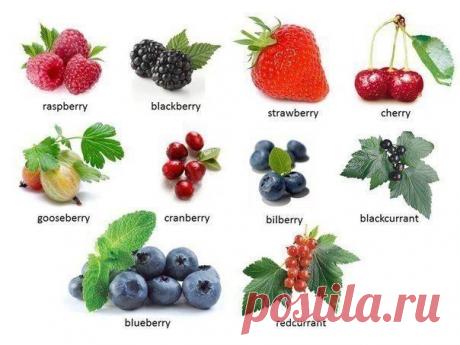 Названия ягод на английском языке: / Неформальный Английский