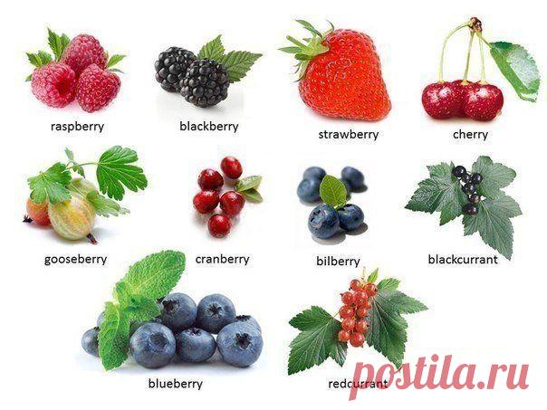 Названия ягод на английском языке: / Неформальный Английский