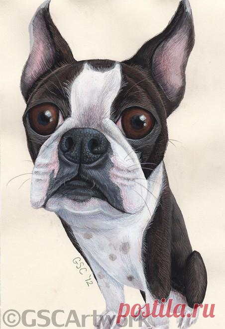 GSC Картина: CARTOONS