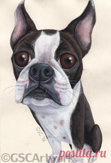 GSC Картина: CARTOONS