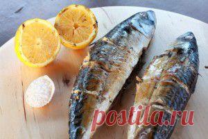 Скумбрия на гриле