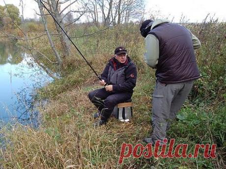 Ловим пескарей поздней осенью
Небольшая река с ямками и перекатами, с многочисленными поворотами русла, текущая среди высоких берегов, является наиболее интересным местом для ловли поплавочной удочкой. Чем холоднее становится во…