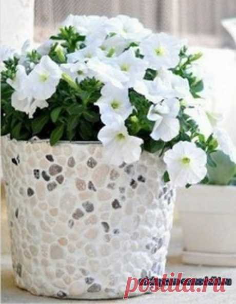 Мозаика в вашем саду: ландшафтный дизайн | Краше Всех