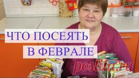 Что посеять в феврале. Подготовка к посадке.