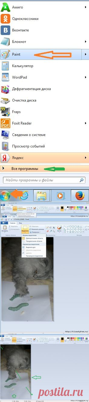 Обработка изображений с помощью Paint для начинающих пользователей