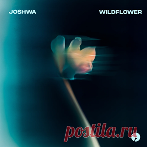 Joshwa - Wildflower | 4DJsonline.com