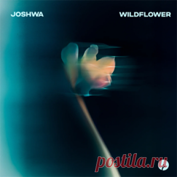 Joshwa - Wildflower | 4DJsonline.com