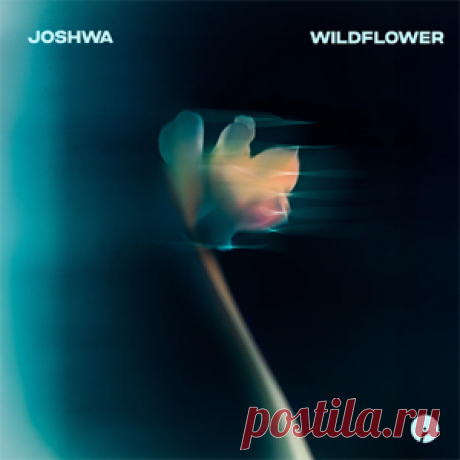 Joshwa - Wildflower | 4DJsonline.com