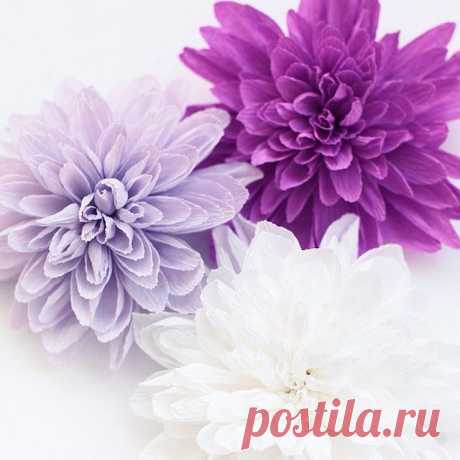 А мы опять в поиске, на этот раз новой формы:) Придумывая новый цветок, мы всегда начинаем с маленькой копии. #бумажныецветы#студияpaperflowers#большиебумажныецветы#детскийпраздник#декор#paperflowers#цветыцветочки#весна#идеядляфотосессии#фотозона#свадьбадекор