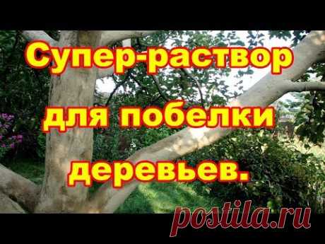 Для побелки деревьев, дешевый,легко готовится,долго держится супер раствор