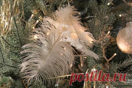 Следите за знаками в первые 12 дней Нового года - ФОКУС ВНИМАНИЯ  Следите за знаками в первые 12 дней Нового года. Как пройдут первые 12 дней Нового года, так и пройдет весь год. - ФОКУС ВНИМАНИЯ