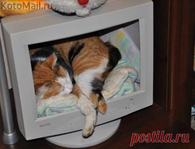Если отключили интернет)