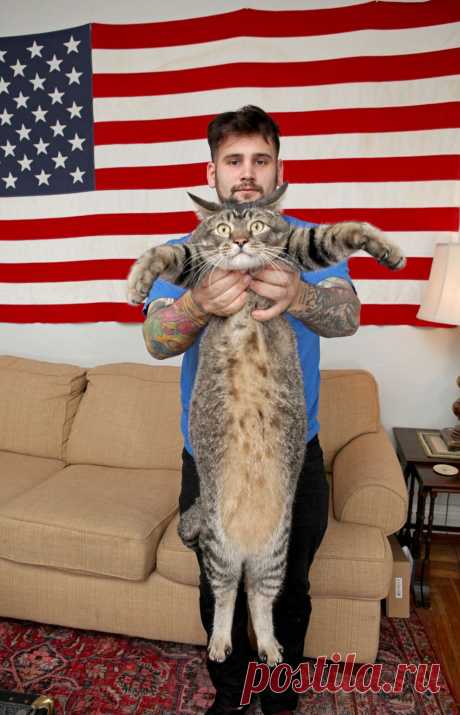 рецепты  круассанов
https://namenu.ru/b1096/Luchshie_recepty_kruassanov