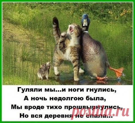Мой Мир@Mail.Ru