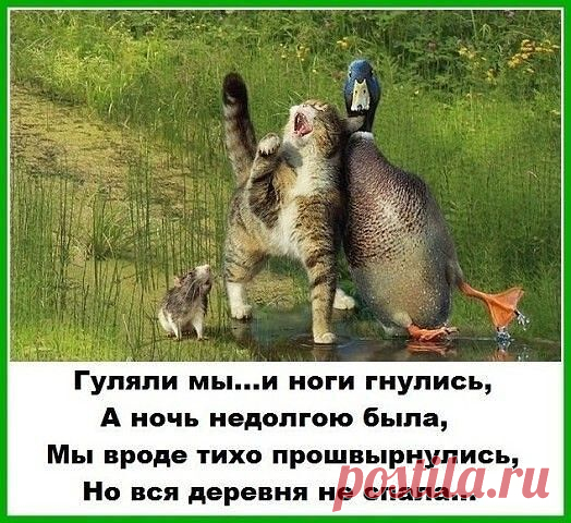 Мой Мир@Mail.Ru