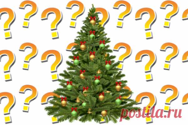 Что делать с ёлкой после праздников? | CityWomanCafe.com