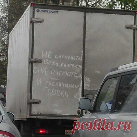 Подборка автоприколов