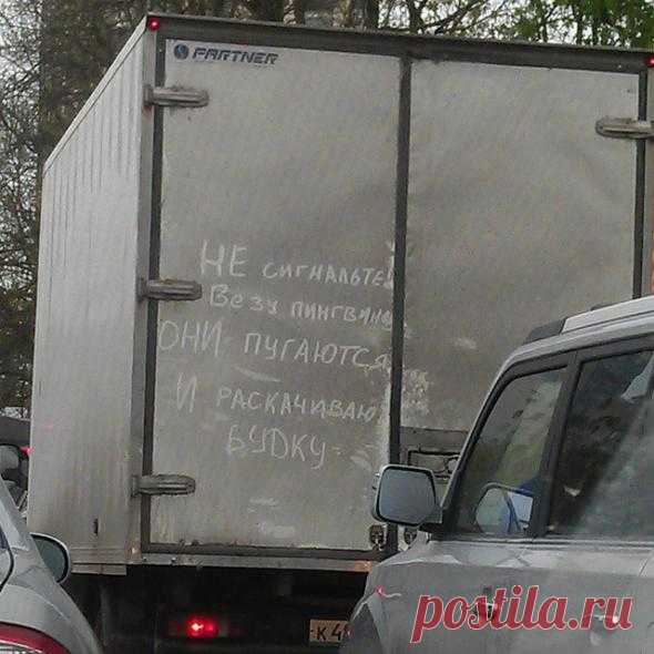 Подборка автоприколов