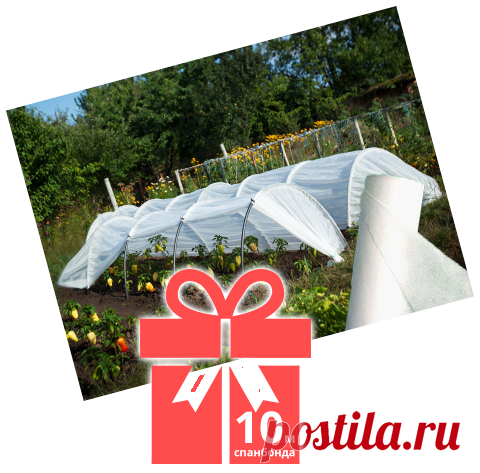 gift_big.png (480×473)