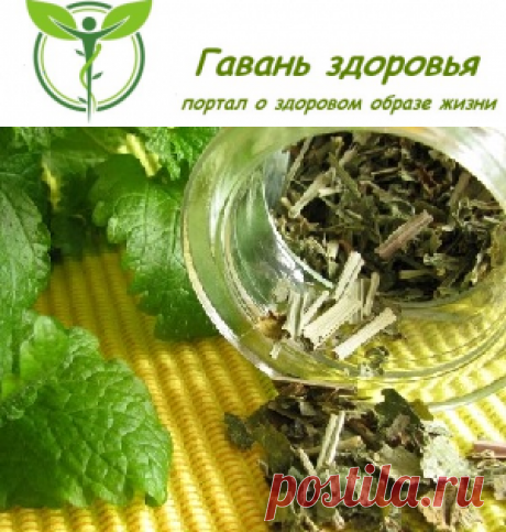 Отвар трав для укрепления сосудов | Гавань здоровья