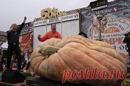 Мужчина вырастил гигантскую тыкву весом больше тонны и побил мировой рекорд. 43-летний житель США вырастил гигантскую тыкву и побил мировой рекорд. Вес тыквы составил 1,2 тысячи килограммов. Она на 21 килограмм тяжелее рекордной тыквы, которая выиграла в чемпионате в 2021 году. Победитель назвал плод в честь американского баскетболиста Майкла Джордана.