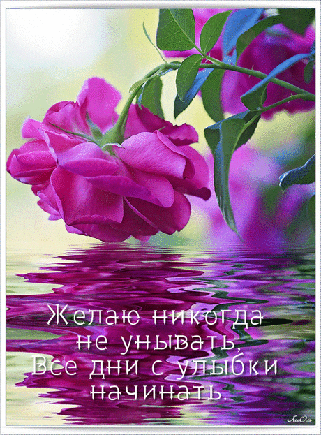 (2300) Pinterest