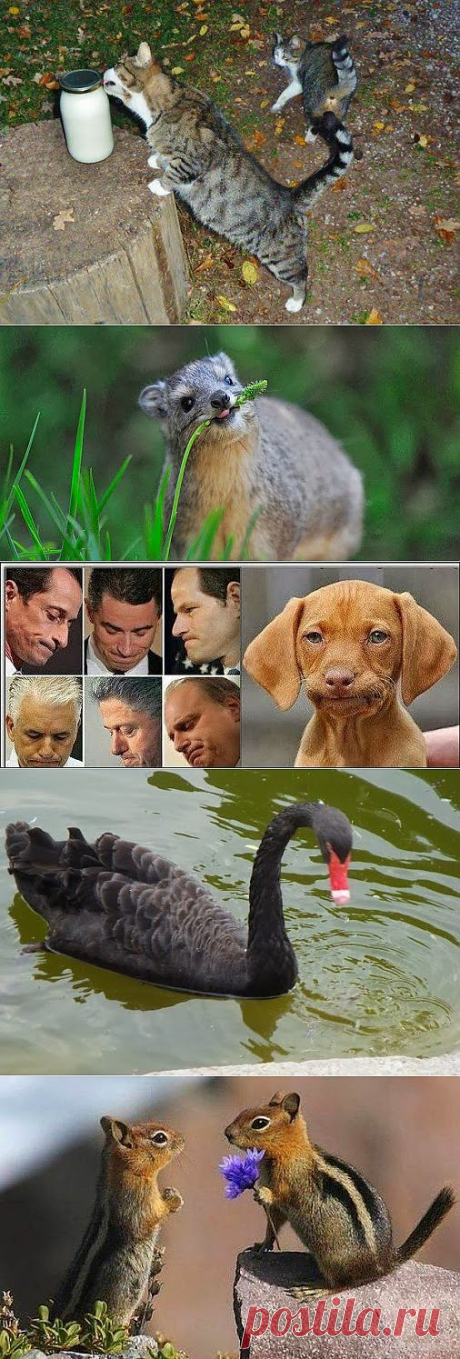 Юрий Фофанов – Google+