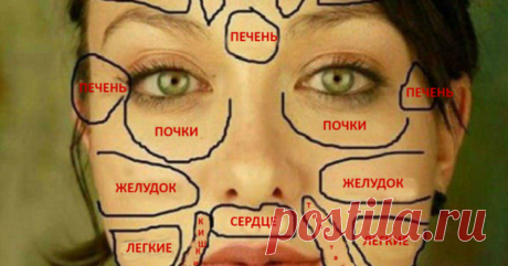 Благодаря этой китайской схеме узнала о своей болезни раньше врачей! Это меня спасло. - Сайт для женщин Говорят, что глаза — зеркало души. Как глаза отражают внутренний мир, так кожа отражает состояние здоровья человека. Китайские медики считают, что каждый участок кожи связан с определенным органом. Таким образом разные высыпания, прыщи и изменение цвета кожи могут быть тревожными сигналами, которые подает наш организм. Разобраться в том, за какие органы отвечает определенный участок кожи, …