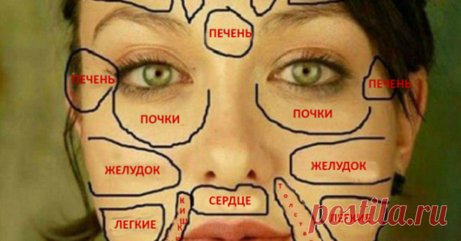 Благодаря этой китайской схеме узнала о своей болезни раньше врачей! Это меня спасло. - Сайт для женщин Говорят, что глаза — зеркало души. Как глаза отражают внутренний мир, так кожа отражает состояние здоровья человека. Китайские медики считают, что каждый участок кожи связан с определенным органом. Таким образом разные высыпания, прыщи и изменение цвета кожи могут быть тревожными сигналами, которые подает наш организм. Разобраться в том, за какие органы отвечает определенный участок кожи, …