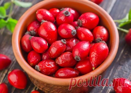 8 оздоровительных рецептов с шиповником
https://rus-health.info/8-ozdorovitelnih-retseptov-s-s..

1. Как приготовить витаминный настой:Взять 20г плодов шиповника и залить 500 мл кипятка (можно в термосе), принимать по 100 мл за полчаса до еды 2 раза в сутки (обязательно процеживать через марлю или серебряное ситечко). Готовить не более как на 2 суток.2. Отвар шиповника (сушеного):Взять 100г сухих плодов шиповника, 1л воды, 5-10г сахара или меда. Плоды раздавить пестиком, уб...