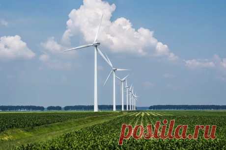 26-10-25--Какие ОПАСНОСТИ для природы несет ЗЕЛЕНАЯ ЭНЕРГЕТИКА? Ветряные и солнечные электростанции, вопреки распространенным мифам, могут ИЗГАДИТЬ ПРИРОДУ посильнее угольных.