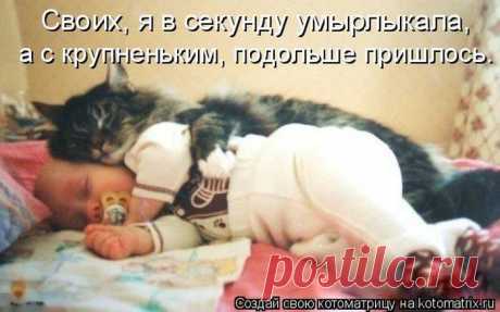 Играл на компе в рыбалку. Поставил РЕАЛИСТИЧНОСТЬ на максимум. В итоге два часа тупо просидел перед экраном. Не клевало... (котоматрицы)