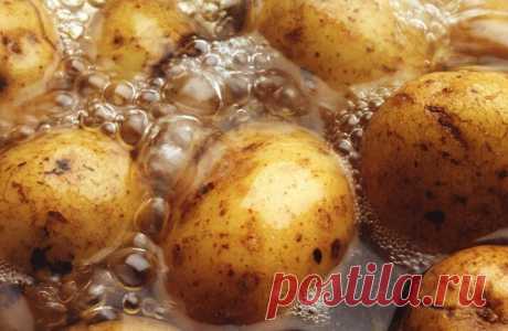 Расскажу, как отварить обычный картофель в мундире в 5 раз вкуснее. Плюс простой способ его чистки и вариант подачи | Кулинарный техникум | Яндекс Дзен