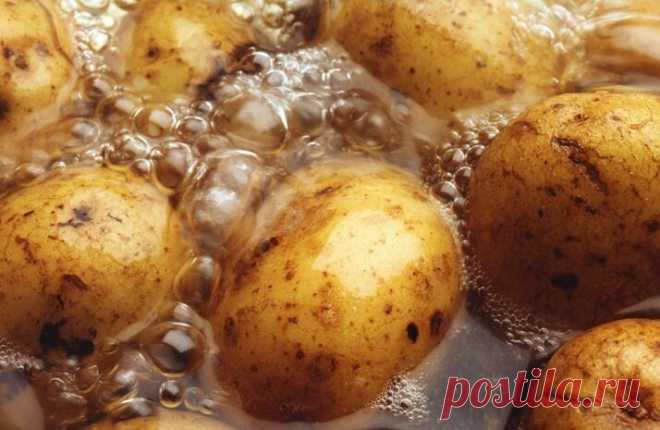 Расскажу, как отварить обычный картофель в мундире в 5 раз вкуснее. Плюс простой способ его чистки и вариант подачи | Кулинарный техникум | Яндекс Дзен