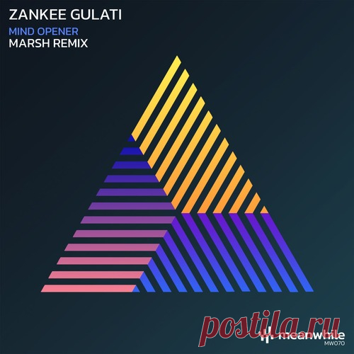 Zankee Gulati - Mind Opener (Marsh Remix) free download mp3 music 320kbps