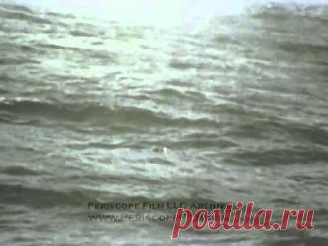 THE SECRET LAND ANTARCTICA U.S. NAVY OPERATION HIGH JUMP REEL 2 2497 - YouTube