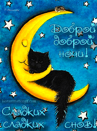Доброй ночи, мое счастье.
Тебя я крепко обниму.
Я прогоню долой ненастье
И поцелуй свой подарю.