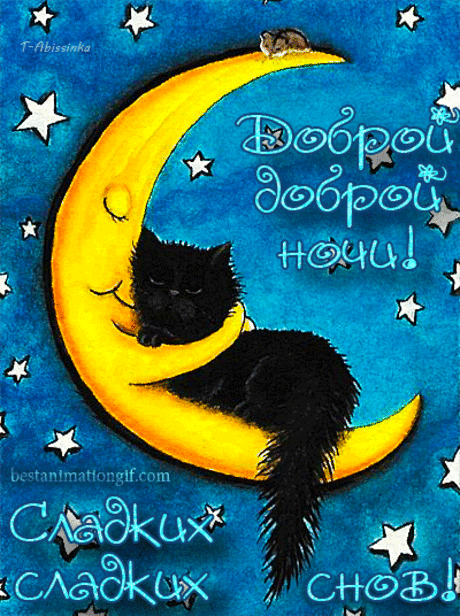 Доброй ночи, мое счастье.
Тебя я крепко обниму.
Я прогоню долой ненастье
И поцелуй свой подарю.