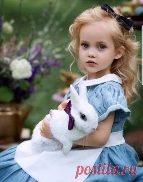Пин на доске Alice