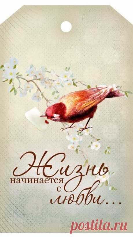 Мои закладки
